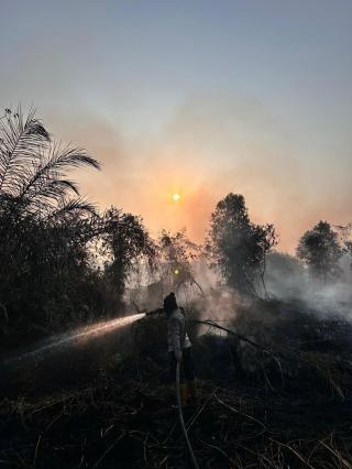 Rimbo Panjang Tetap Berasap: Arah Angin Berubah Jadi Tantangan Utama Pendinginan Lahan